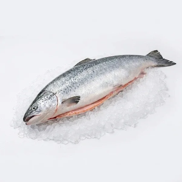 Türk Somonu 3,5-4 Kg