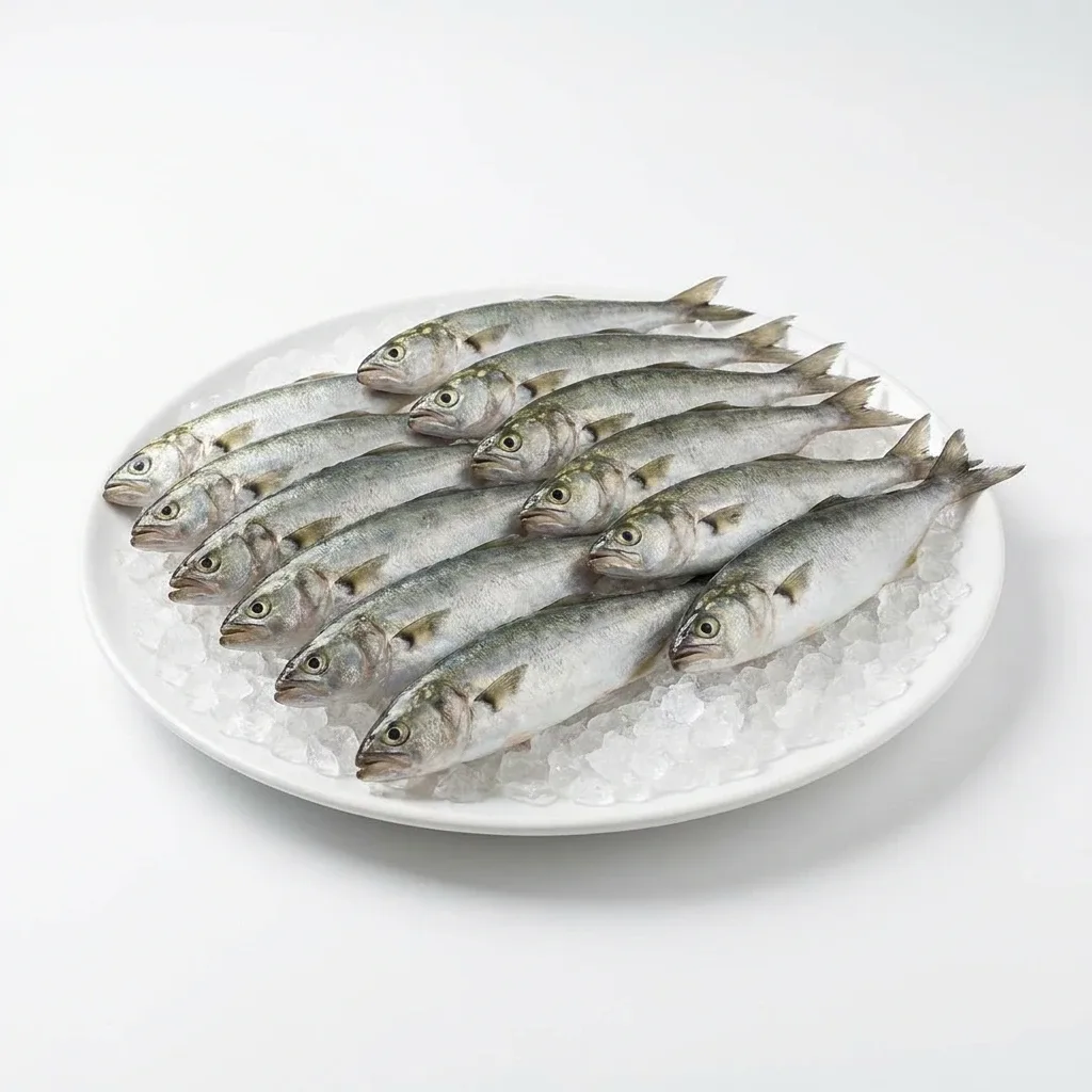 Lüfer (Sarıkanat) 12-17 Adet 1 Kg