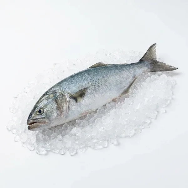Lüfer 350-400 Gr Adet