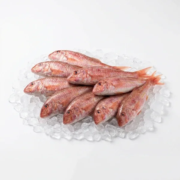 İri Kaya Barbun 1 Kg (10-12 Adet)