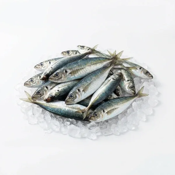 Karadeniz İstavrit 1 Kg