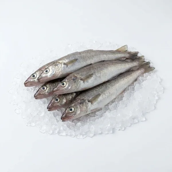 Karadeniz Taze Mezgit 1 Kg