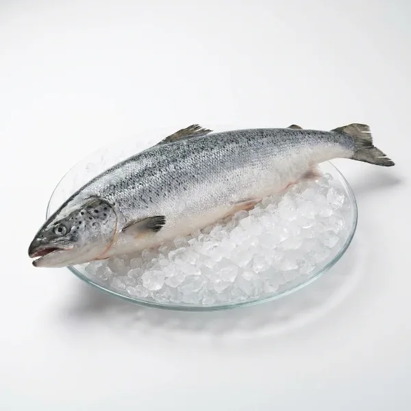 Türk Somonu 2 Kg