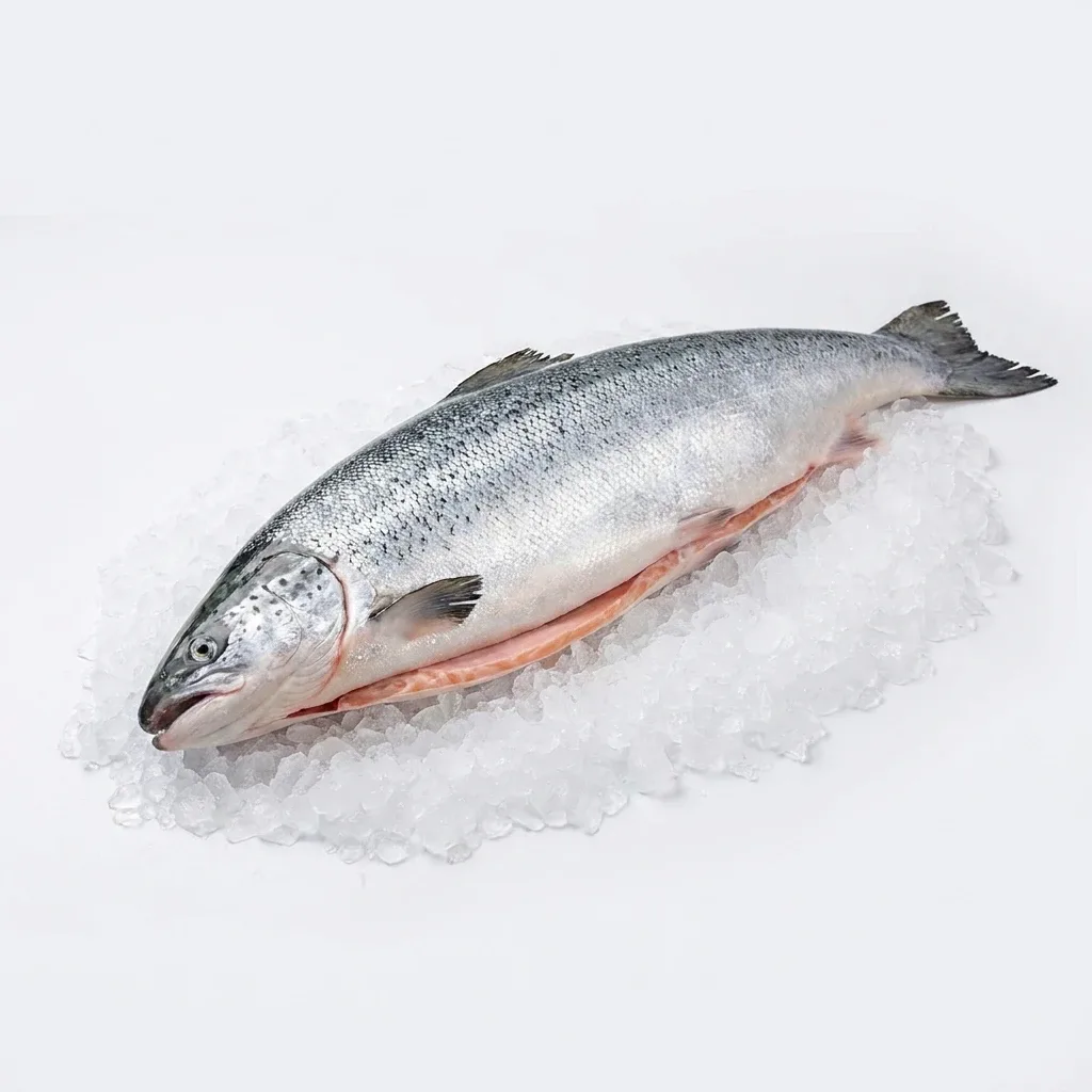 Türk Somonu 3,5-4 Kg