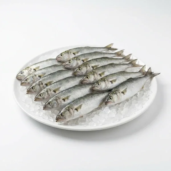 Lüfer (Sarıkanat) 12-17 Adet 1 Kg
